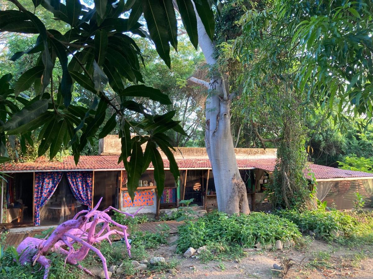 Hotel Planta Glamp Farm Santa María Huatulco Exterior foto